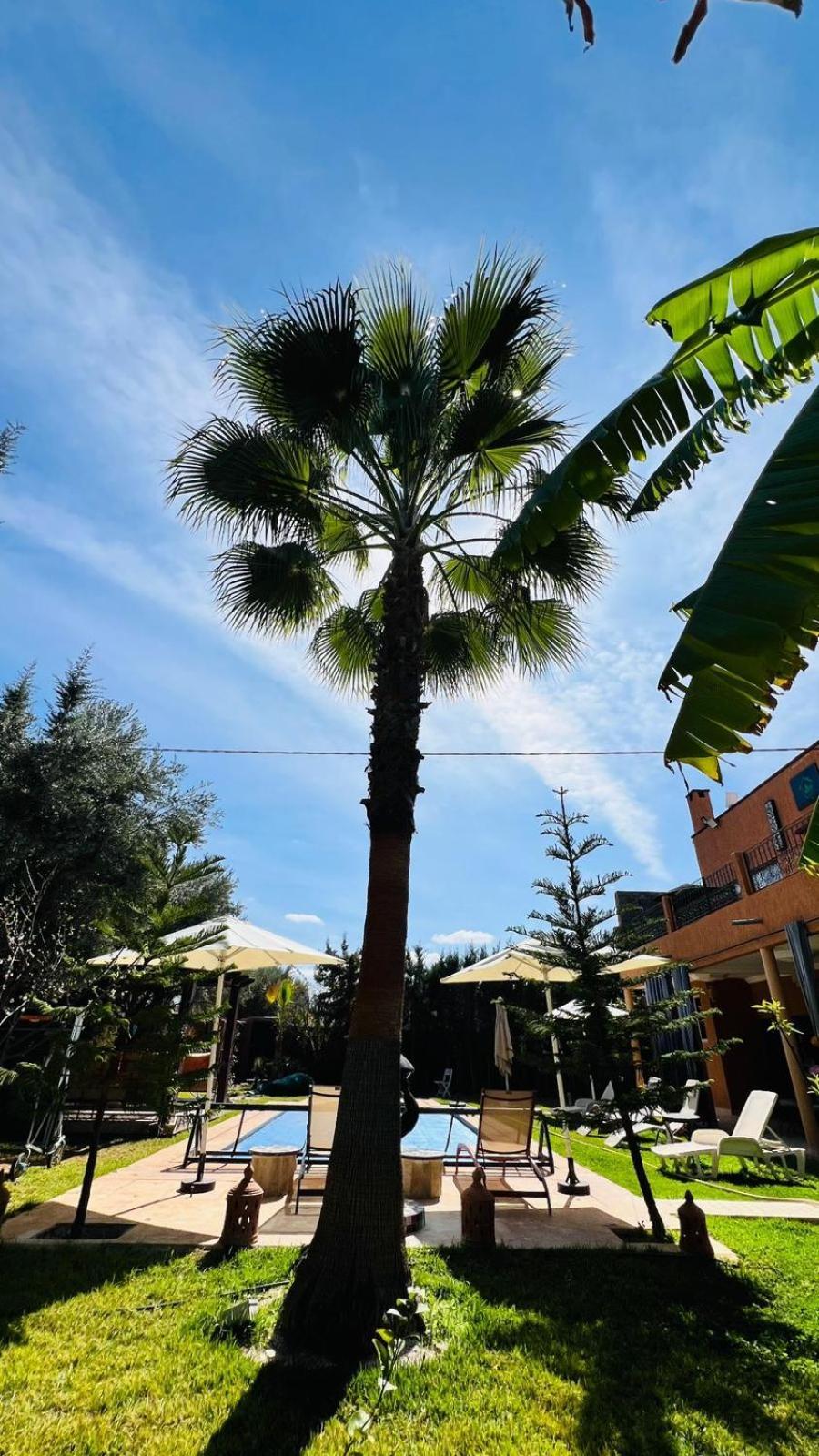 Ilafe Farmhouse, Villa Avec Piscine Chauffee Privee Et Jacuzzi Pour Familles Marrakesh Exterior photo