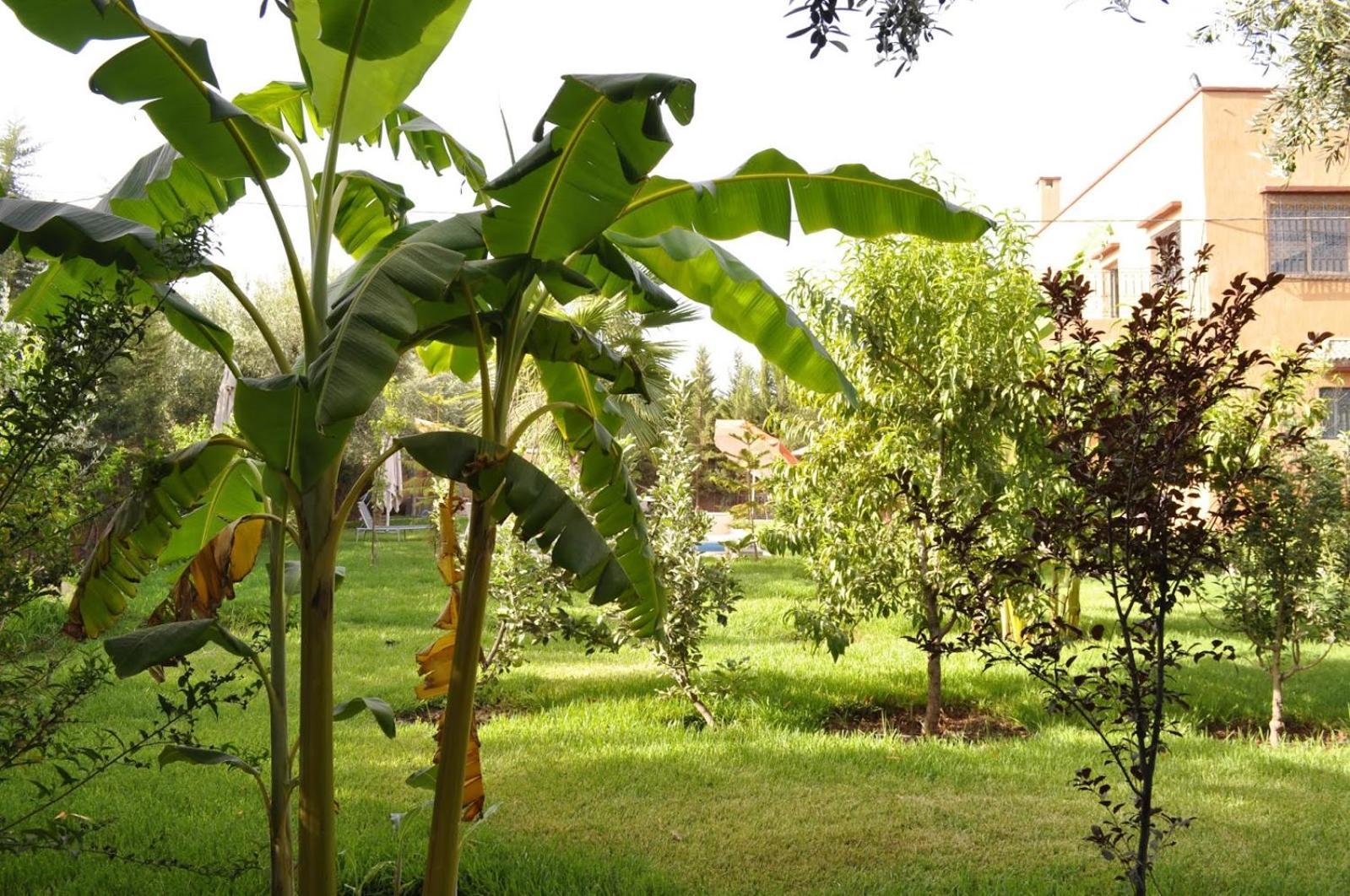 Ilafe Farmhouse, Villa Avec Piscine Chauffee Privee Et Jacuzzi Pour Familles Marrakesh Exterior photo